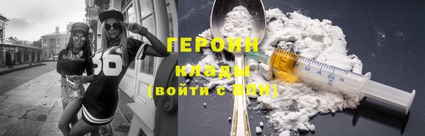индика Ладушкин