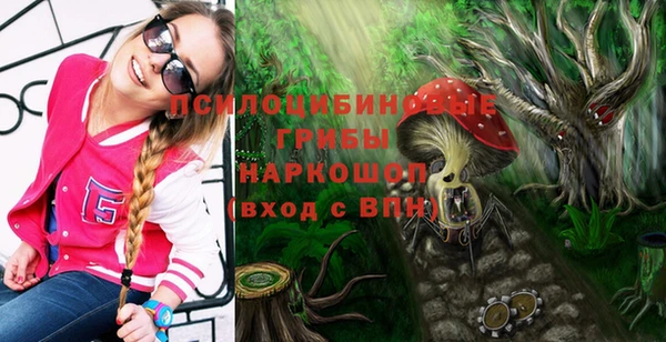 твердый Лабытнанги