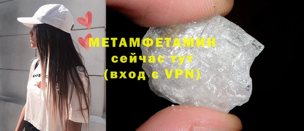 индика Ладушкин