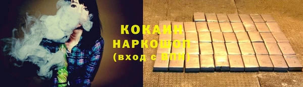 индика Ладушкин