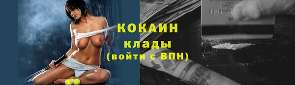 индика Ладушкин