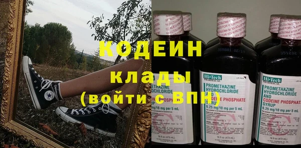 индика Ладушкин