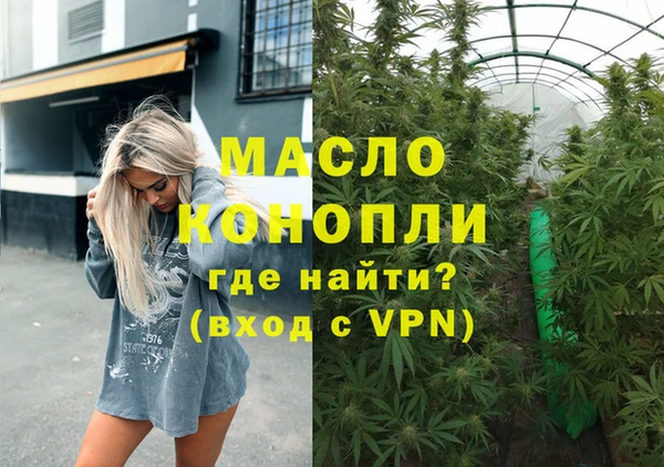 индика Ладушкин