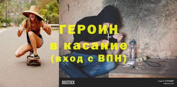 индика Ладушкин