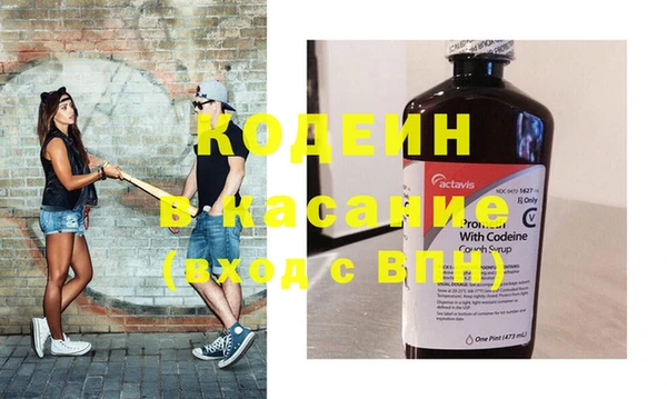 индика Ладушкин