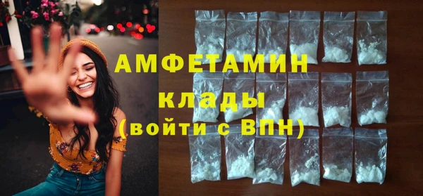индика Ладушкин