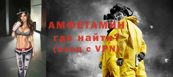 индика Ладушкин