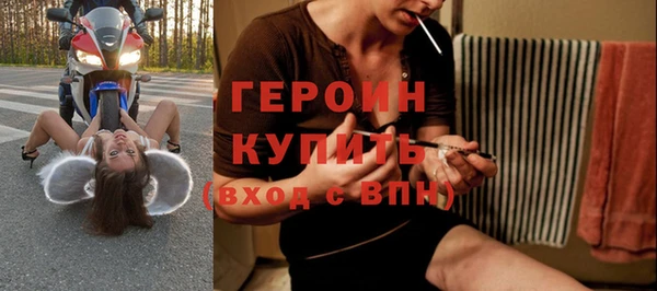индика Ладушкин