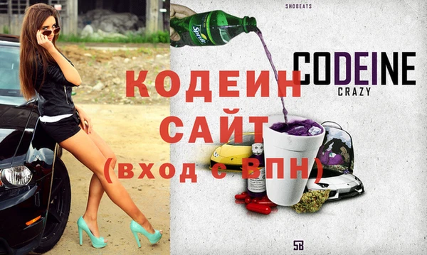 индика Ладушкин