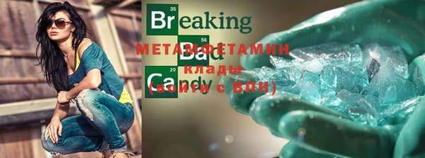 индика Ладушкин